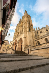 Fototapeta na wymiar Cathedral of Burgos