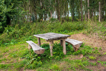 Simple rough wooden picnic set on the edge of the forest