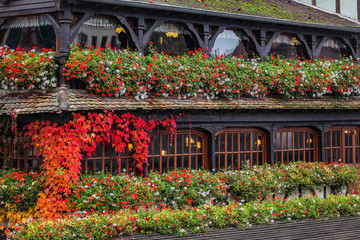 Black and brown house in colorful leaves, green red and white flowers, orange and red maple leaves, restaurant in autumn colors, beautiful windows