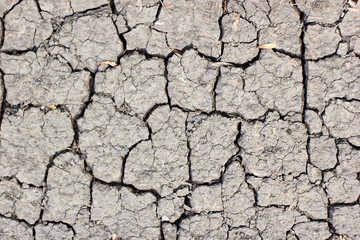 Surface of cracked earth for texture background, dried clay