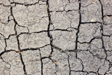 Surface of cracked earth for texture background, dried clay