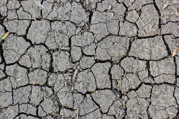 Surface of cracked earth for texture background, dried clay