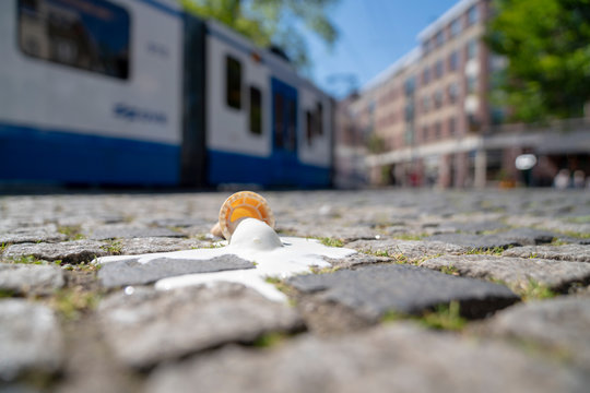    Melting soft serve ice cream