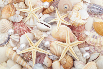 Starfishes, pearls, and amazing seashells close up