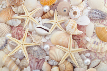 Starfishes, pearls, and amazing seashells with white stone