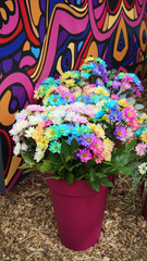 Stunning spring landscape, famous Keukenhof garden with colorful fresh tulips, Netherlands, Europe