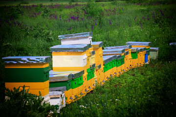 Fototapeta na wymiar Hives in an apiary in a spring garden.