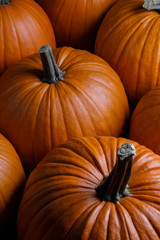 Many pumpkins background