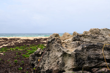 Rocks on the beach in Mexico