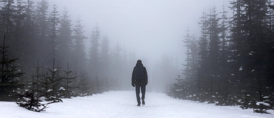 wanderer in an foggy winter landscape panorama - obrazy, fototapety, plakaty
