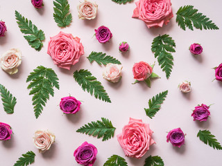 Flat lay composition of green fern leaves and roses of varying size and color on pink background