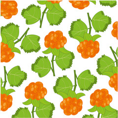 Berry cloudberry pattern on white background is insulated