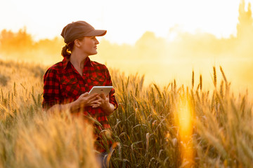 A woman farmer examines the field of cereals and sends data to the cloud from the tablet. Smart...
