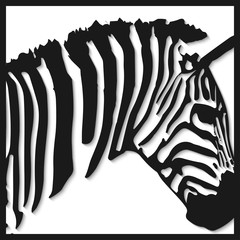abstract image of zebra © Анастасия Титкова