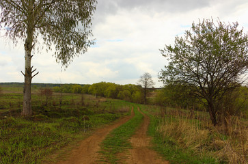 Fototapeta na wymiar Country road, trees and field on the background of the cloudy sky