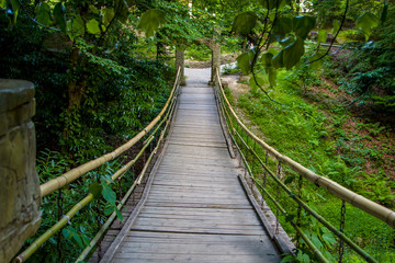 suspension bridge over a river in a tropical park