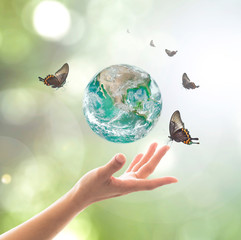 World environment day, sustainable ecology and environmental friendly concept with green earth...