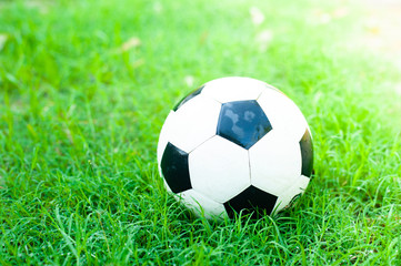 Fototapeta premium Football is placed on a green lawn texture Background or wallpaper.
