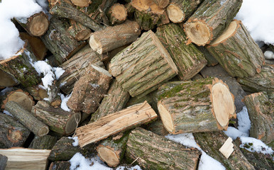 Naklejka premium A pile of firewood laying outside on the snow. 