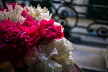 Gorgeous white and pink pions in a glass vase in front of the open Parisian window after the rain close up