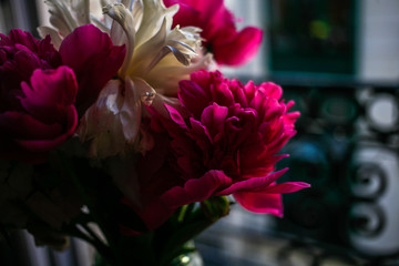 Gorgeous white and pink pions in a glass vase in front of the open Parisian window after the rain close up