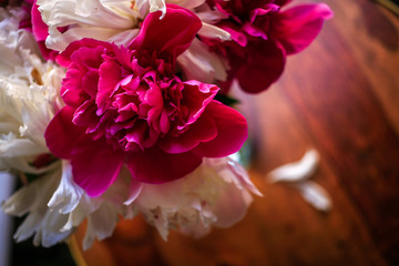 Gorgeous white and pink pions in a glass vase on the table with some petal in sunset light close up