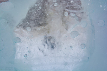The texture of the ice. The frozen water.Winter background 