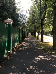 alley in the park