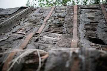 The old abandoned barn stands, disintegrating on the plains and agricultural lands. rotten tree