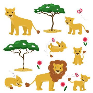 Vector cartoon illustration of lion family collection. African animals, trees and flowers. King of animals. Ideal for nursery design.