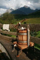 wine barrels in cellar