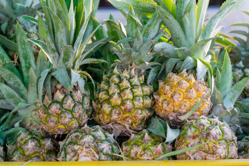 pineapple, background, fruit, tropical, sweet, fresh, healthy, green, raw, organic, vitamin, juicy, yellow, plant, isolated, dessert, pineapples, nature, summer, closeup, natural, market, object
