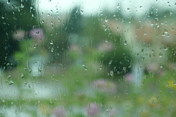 Drops on the window