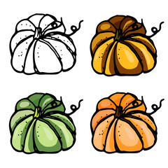 pumpkin vector set isolated on white background