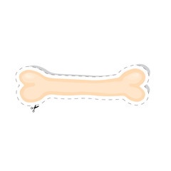 bone of dog isolated on white background