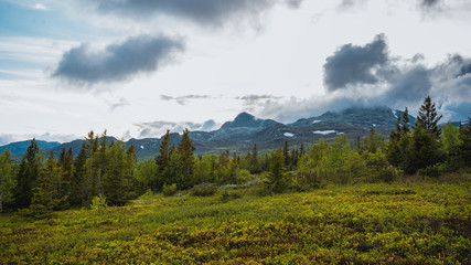 Gaustatoppen, Rjukan, Góry Skandynawskie, Telemark, 1883 m n.p.m, Norwegia, Norway, Norge, Gausta,...