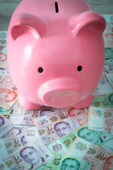 Singaporean dollars and piggy bank. Saving and depositing money