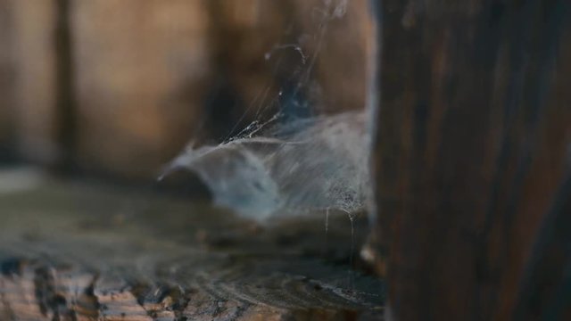 Close up detail of old spider's web waving slowly on wind built on aged wooden construction. Slow motion shot in FullHD