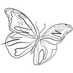 Butterfly one line drawing. Continuous line Animal Vector Art