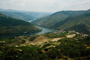 Top view of river in Douro valley and vineyards, Porto, Portugal.