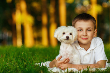 Little boy with a maltese puppy, outdoor summer
