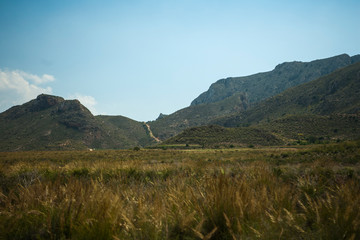 Fototapeta premium Spanish Landscape