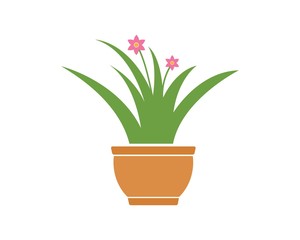 Naklejka na ściany i meble plant in pot illustration vector template