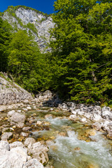 river near Bohinj lake in Triglav national park, Slovenia