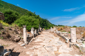 Ephesus Ancient City Ruins in Izmir