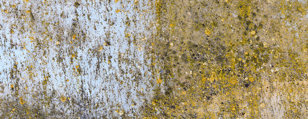 Asbestos slate texture concrete covered with lichen and moss, industry material natural cement