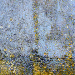 Asbestos slate texture concrete covered with lichen and moss, industry material natural cement