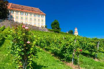 Fototapeta na wymiar Castle Stainz and vineyard, Styria, Austria
