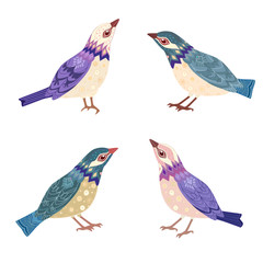 Obraz premium collection of very nice little birds for your design