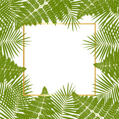 fern frame